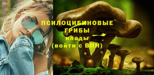 стафф Карталы